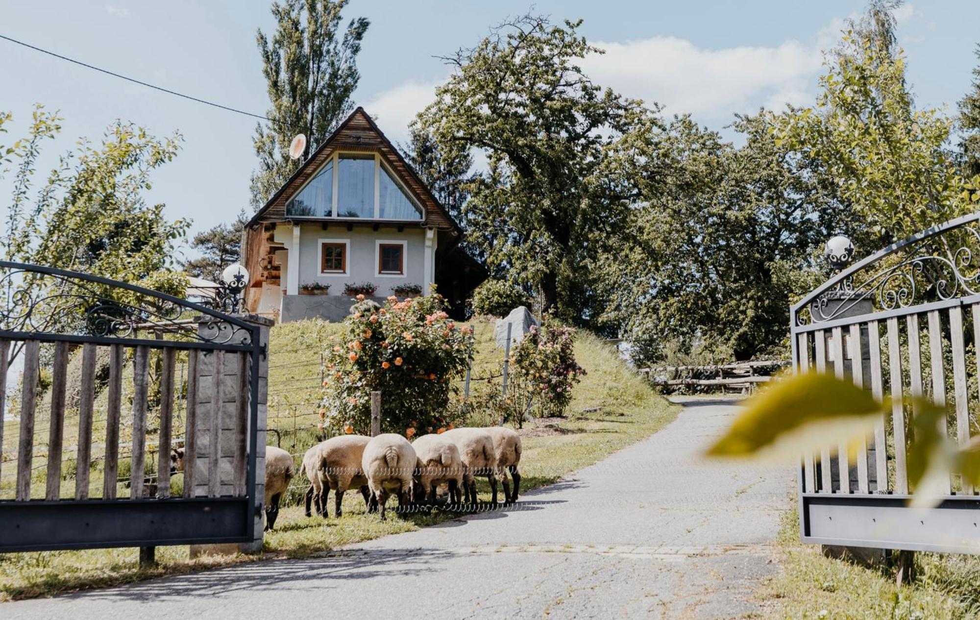 Ferienhaus Am Herbsthof Leutschach Bagian luar foto