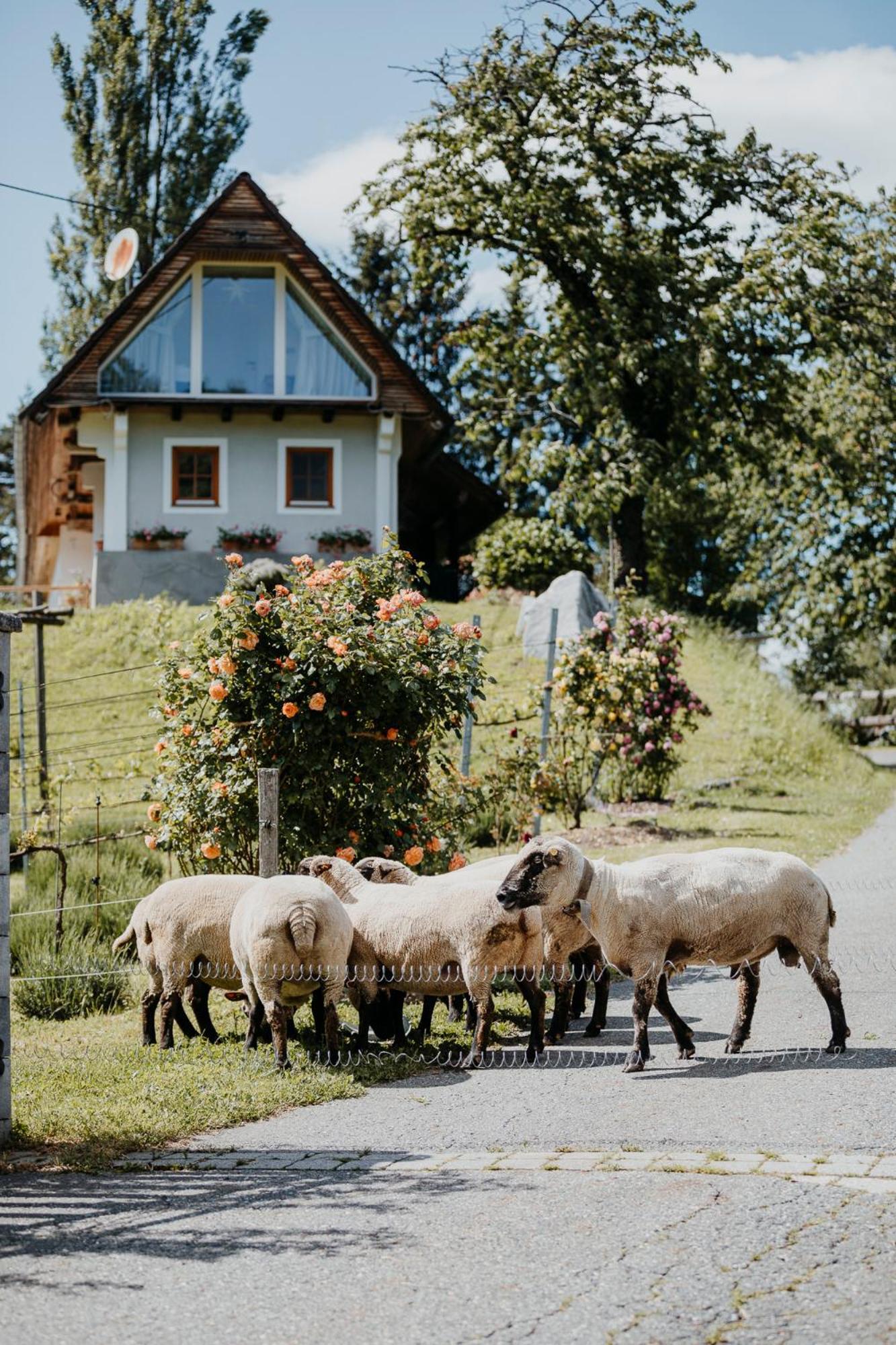Ferienhaus Am Herbsthof Leutschach Bagian luar foto