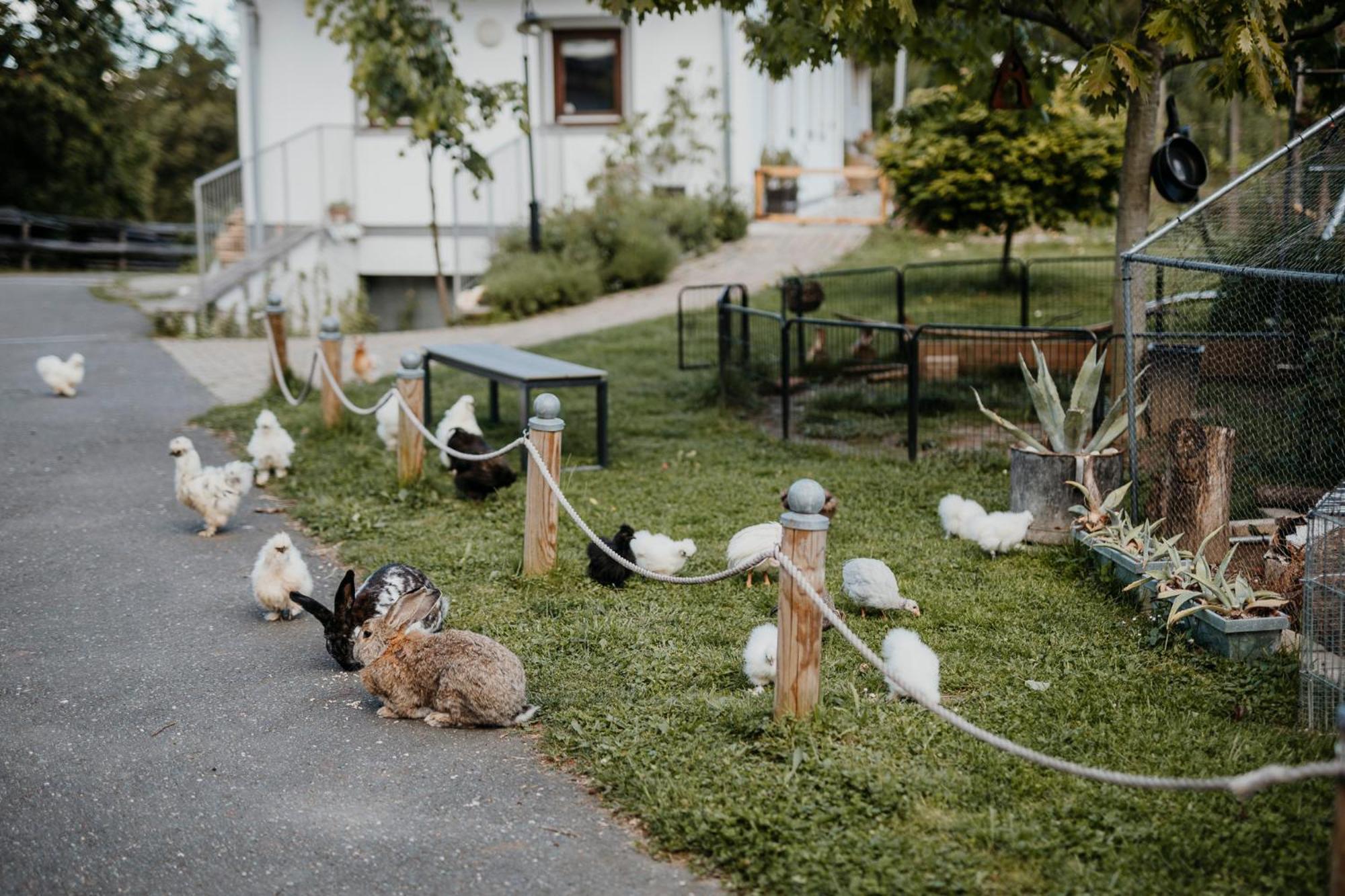 Ferienhaus Am Herbsthof Leutschach Bagian luar foto