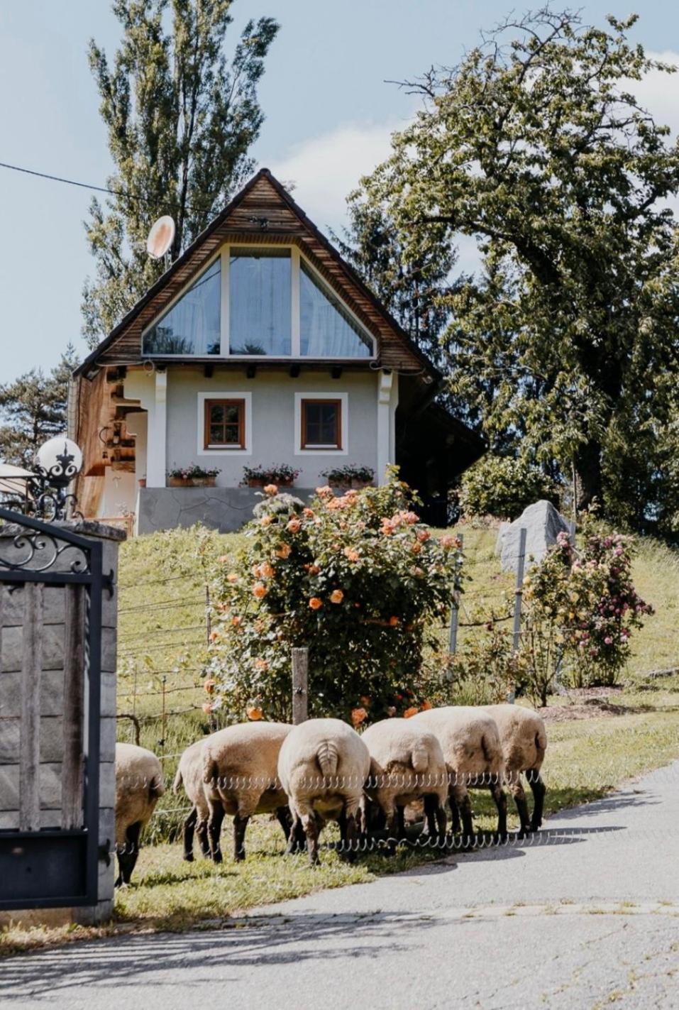 Ferienhaus Am Herbsthof Leutschach Bagian luar foto